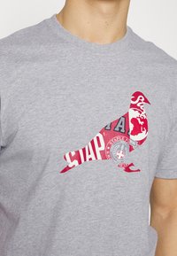 STAPLE PIGEON CANAL PIGEON TEE - T-shirt estampada - heather grey