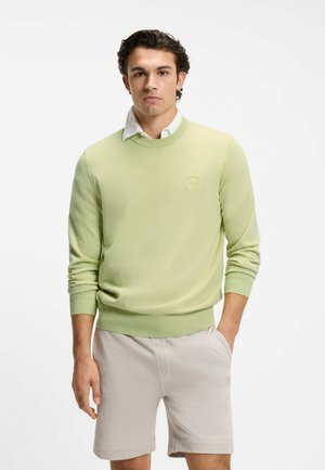 Jonge man met donker haar, gekleed in een lichtgroene trui over een wit shirt en beige korte broek, staand met één hand in de zak tegen een witte achtergrond.