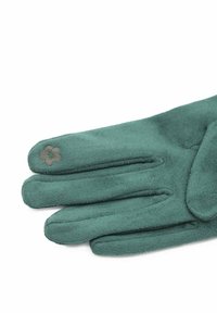 Guanto in suede verde con un piccolo dettaglio ricamato a forma di fiore, posato piatto su uno sfondo bianco.