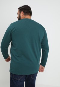 Urban Classics STRETCH TERRY - Pikkade varrukatega topp - jasper