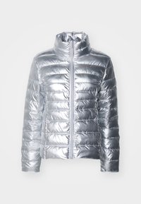 Giacca a vento argento con colletto alto, caratterizzata da un design a righe orizzontali e una zip frontale. Il materiale appare lucido e liscio.