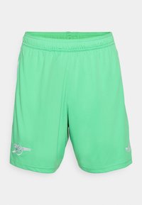 adidas Performance ARSENAL FC THIRD  - Vereinsmannschaften - semi screaming green/white