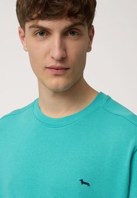 Tyrkysová mikina s okrúhlym výstrihom a rebrovaným golierom. Na ľavej strane hrudi je vyšitá malá námornícka vyšitá postava jazvečíka. Mäkká textúra.