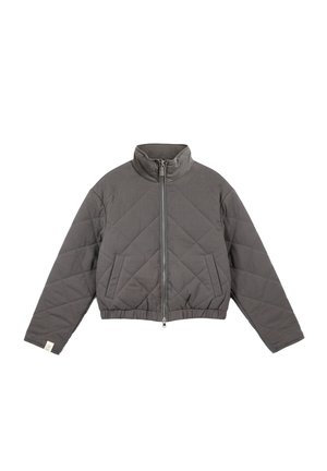 Chaqueta acolchada gris con cuello alto, cierre de cremallera, bolsillos laterales y un corte corto. Material suave con textura lisa.