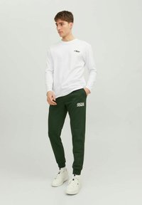 Jack & Jones JJIGORDON JJNEWSOFT NOOS - Pantalones deportivos - mountain view
