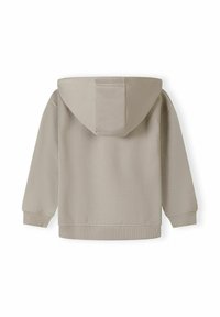 Beige hooded sweatshirt with a smooth texture, ribbed cuffs and hem, and a kangaroo pocket. Features a simple, unembellished design.
