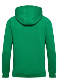 Grüne Kapuzenjacke mit runder Kapuze, langen Ärmeln und gerippten Bündchen. Glatte Textur, einfaches Design und keine sichtbaren Logos oder Verzierungen.