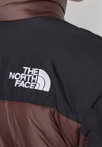 Zbliżenie osoby w brązowej i czarnej kurtce z białym haftowanym logo "The North Face" na górnej części pleców.