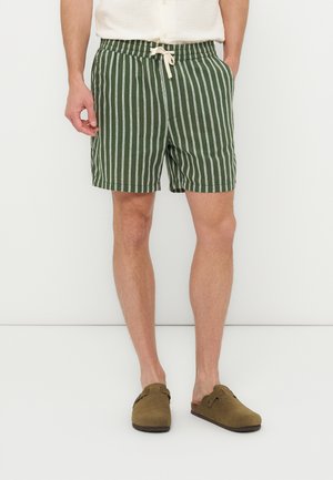 Mann som bærer grønne og hvite shorts med vertikale striper og snøring, brune slip-on sko, og en innstikket hvit skjorte.