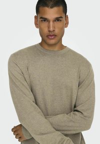 Jasnobrązowy sweter dzianinowy z okrągłym dekoltem, długimi rękawami i ściągaczami. Gładka tekstura i prosty design, idealny do zakupu warstwowego.