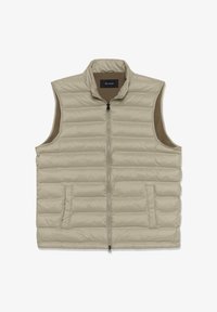 Valitud, winter twig