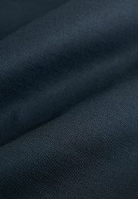 Next REGULAR FIT - PREMIUM - Shorts - navy