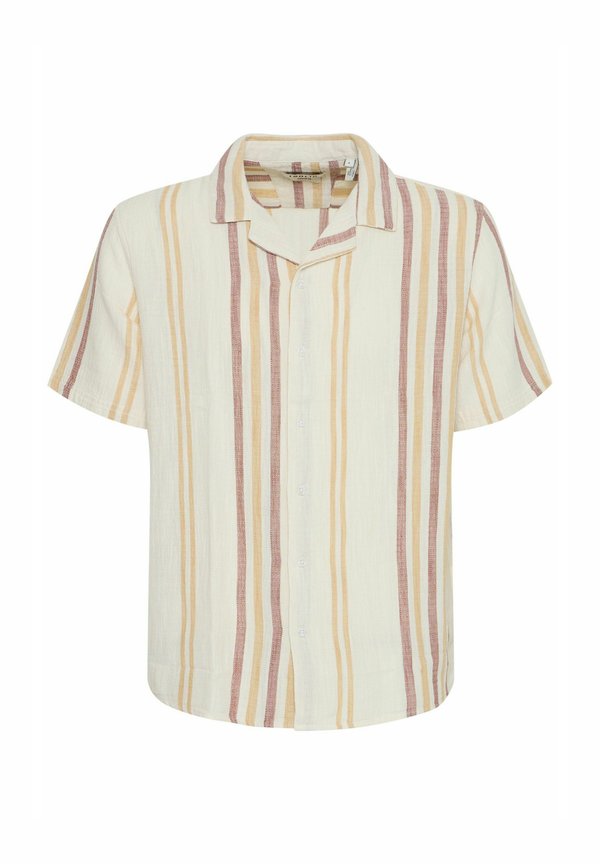 SDISAI - Shirt - acorn3