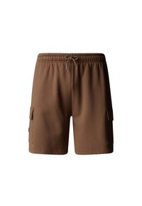 Shorts - smokey brown