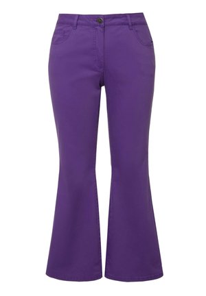 Violetit leveät housut, jotka on valmistettu sileästä kankaasta. Varustettu napin suljennalla, vyölenkeillä ja kahdella etutaskulla. Ei kuvioita tai koristeita.