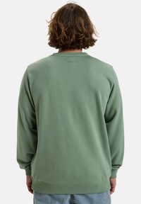 Grüner Pullover mit langen Ärmeln, geripptem Kragen und Bündchen, weicher Textur und einem kleinen Etikett am Hals. Rückansicht dargestellt.