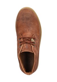 Panama Jack BOTA  - Botines con cordones - cognac