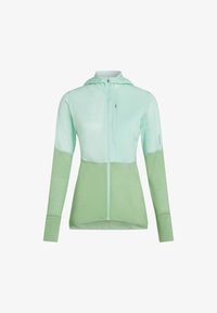 Ei valittu, mint seaglass cb