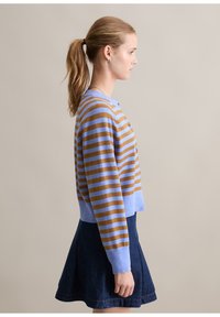 Blauw en bruin gestreepte gebreide cardigan met knopen, cropped lengte, ronde halslijn, gedragen over een donkere denim rok, zijaanzicht.