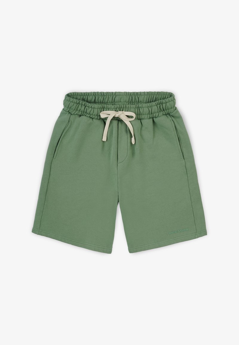 Pegador LOGO HEAVY - Short - vintage washed cypress gum