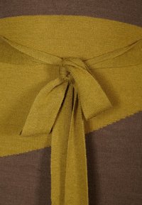 Gebreide stoffen top in bruin en mosterdgeel met een brede band en een gestrikt knoopdetail in de taille, met een gladde textuur.