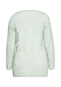 Pullover di maglia verde chiaro a maniche lunghe con un motivo a trama aperta e polsini a coste. La parte posteriore è liscia senza dettagli aggiuntivi.