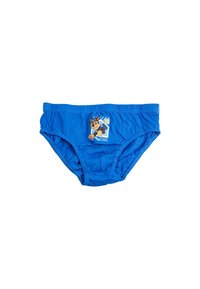 Slip in cotone blu con vita elastica, caratterizzato da un design ricamato di un personaggio dei cartoni animati sul davanti. Texture morbida e leggera.