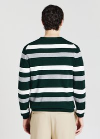 Calliope RIGHE - Pullover - var verde bosco