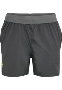 Hummel Urheilushortsit - grey