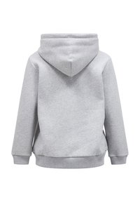 Grauer Kapuzenpullover mit weicher Textur, ausgestattet mit einer Kängurutasche, gerippten Bündchen und einem breiten Taillenband. Rückansicht angezeigt.