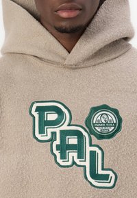 Pal Sporting Goods HOLE GUARD HOODIE UNISEX - Pulover iz flisa - clay