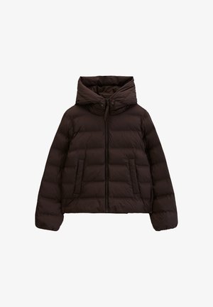 Marc O'Polo DENIM, WOVEN OUTDOOR JACKETS, HEATSEALED PUFFER - Winter jacket - espresso brown