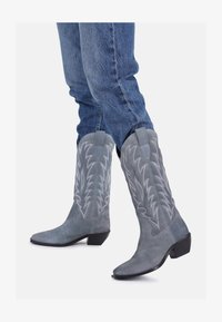 Επιλέχθηκε, grey