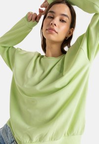 Green sweatshirt made of soft fabric, featuring a loose fit and elastic waistband. Detailed with a subtle butterfly embroidery on the front.