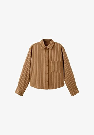 Rjava srajca z dolgimi rokavi, z gumbi, z belimi navpičnimi črtami in majhnimi pikčastimi vzorci, z žepom na levi strani spredaj in z ostrim ovratnikom.