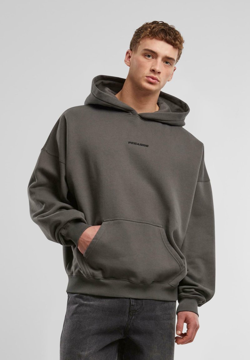 Pegador LOGO BOXY - Pulover s kapuco - vintage grey grey