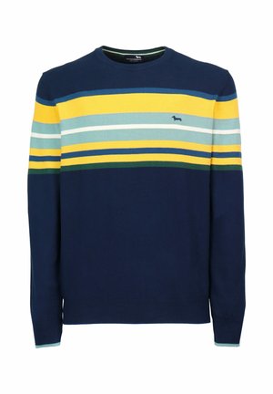 Tmavomodrý sveter s horizontálnymi pruhmi v žltej, zelenej, modrosivej a bielej farbe. Má okrúhly výstrih a malú znak na hrudi.
