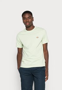 Dickies MAPLETON - T-shirt básica - celadon green