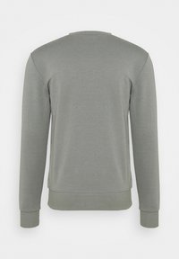 Grauer Sweatshirt mit langen Ärmeln, rundem Halsausschnitt und gerippten Bündchen. Glatte Textur und keine sichtbaren Muster oder Verzierungen.