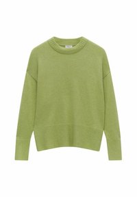 PENNY PREMIUM WOOL - Striktrøje - green
