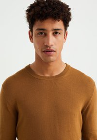 WE Fashion THE EVERYDAY - Džemperis - brown