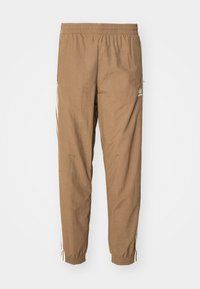 FIREBIRD PANTS - Donji dijelovi trenirke - trace brown