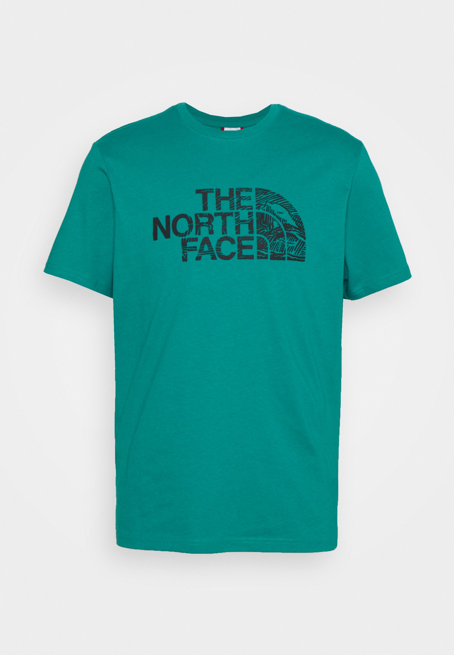 the north face woodcut dome