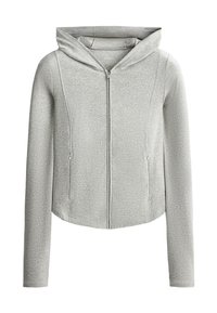 Sweat à capuche zippé gris clair à manches longues, fermeture éclair à l’avant, poches zippées et capuche, présenté sur fond blanc.