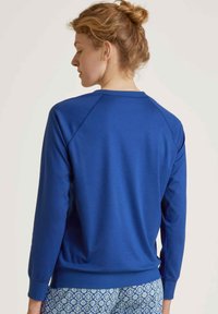 Blauwe pullover sweatshirt met lange mouwen, geribbelde manchetten en zoom, met een gladde textuur en raglanontwerp. Draagt met een patroon broek.
