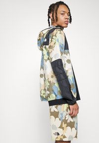 The North Face M SEASONAL MOUNTAIN JACKET - EU - Casaco para exterior - military olive heritage