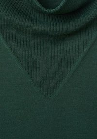Pull en tricot vert foncé avec un col haut et un motif en relief en forme de V à l'avant. Texture douce avec une coupe ajustée.