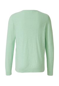 Effen lichtgroene trui met lange mouwen, gezien vanaf de achterkant, met een ronde hals en geribbelde boorden aan de mouwen en zoom.