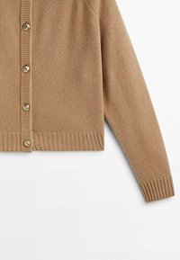 Massimo Dutti Vest - camel