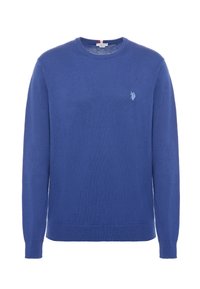 Maglione azzurro lavorato a maglia con maniche lunghe, scollatura rotonda e un piccolo logo ricamato sul petto. Tessuto morbido e orlo aderente.